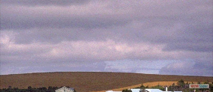 95