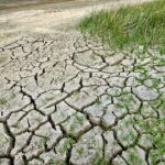 Drought in Argentina impacts producers and communities