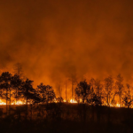 <strong>Incendios forestales y cambio climático: un vínculo que ya no se puede ignorar</strong>