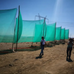 <strong>Los ‘atrapanieblas’ como solución innovadora para que todos los peruanos puedan tener agua</strong>