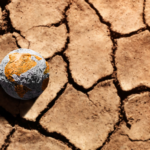 <strong>El presupuesto de carbono se agota y el mundo se acerca al umbral de 1.5 °C</strong>