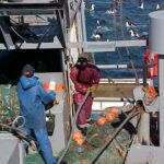 💡 “Dólar pesca” marplatense: una medida histórica que reescribe el valor laboral en el mar
