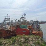 “La lata de atún no fracasa: fracasa el sistema que no alcanza escala.”