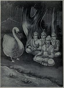 Brahma